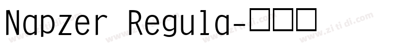 Napzer Regula字体转换